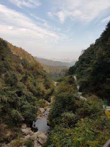 bagoly tiborék kínában 12